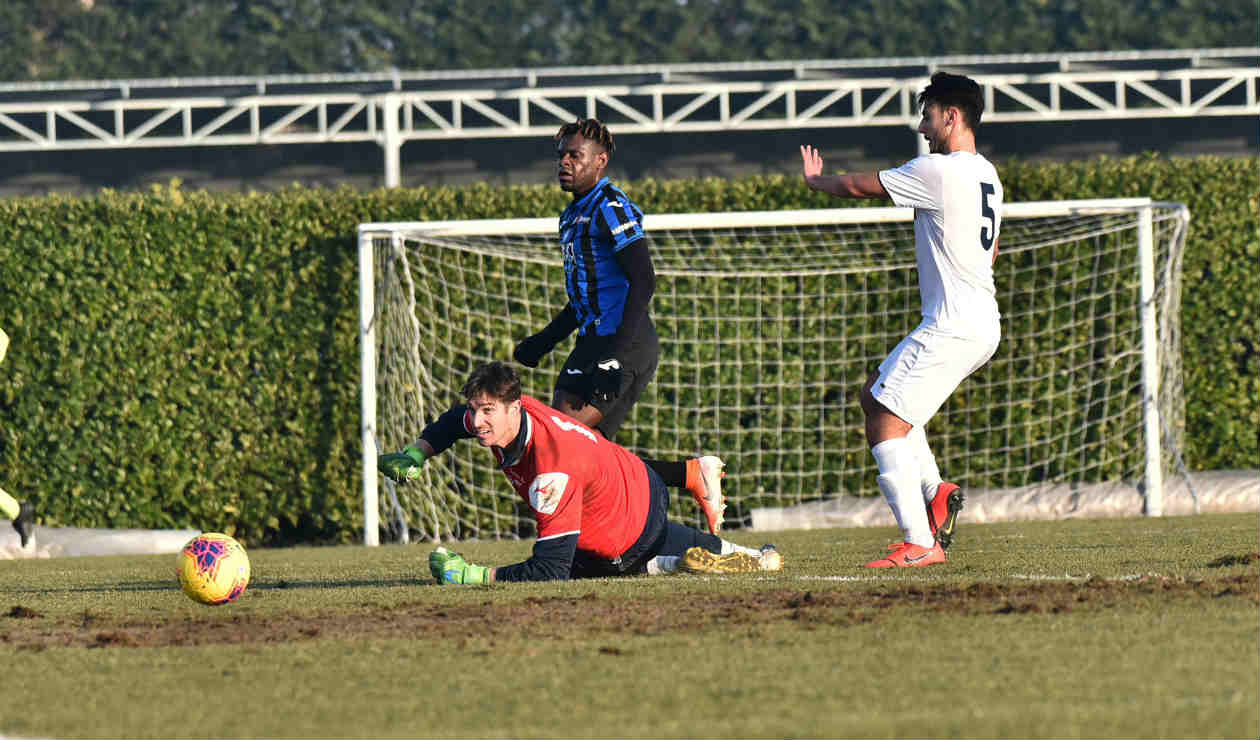 Duván Zapata - 2020