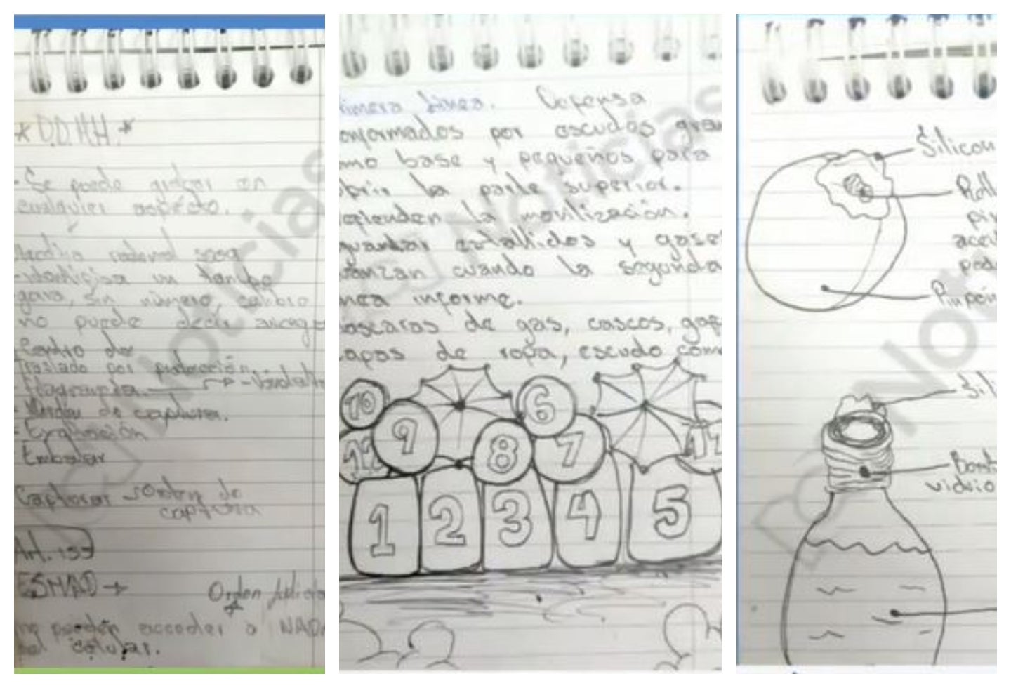 Libreta del vándalo