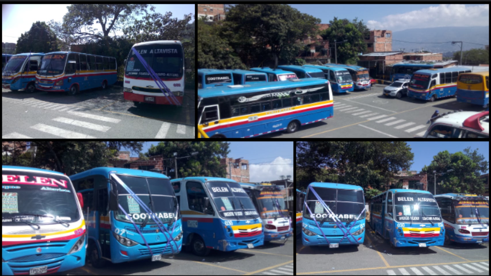 Buses del corregimiento de Altavista en Medellín