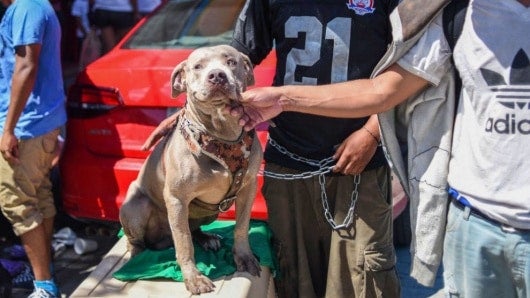 La madre del menor también resultó lesionada