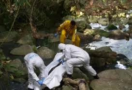 Hallaron cadáver de niña que estaba desaparecida en Urabá