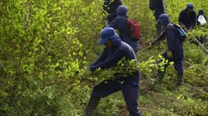 Más de 2 mil familias esperan los recursos para los proyectos productivos.