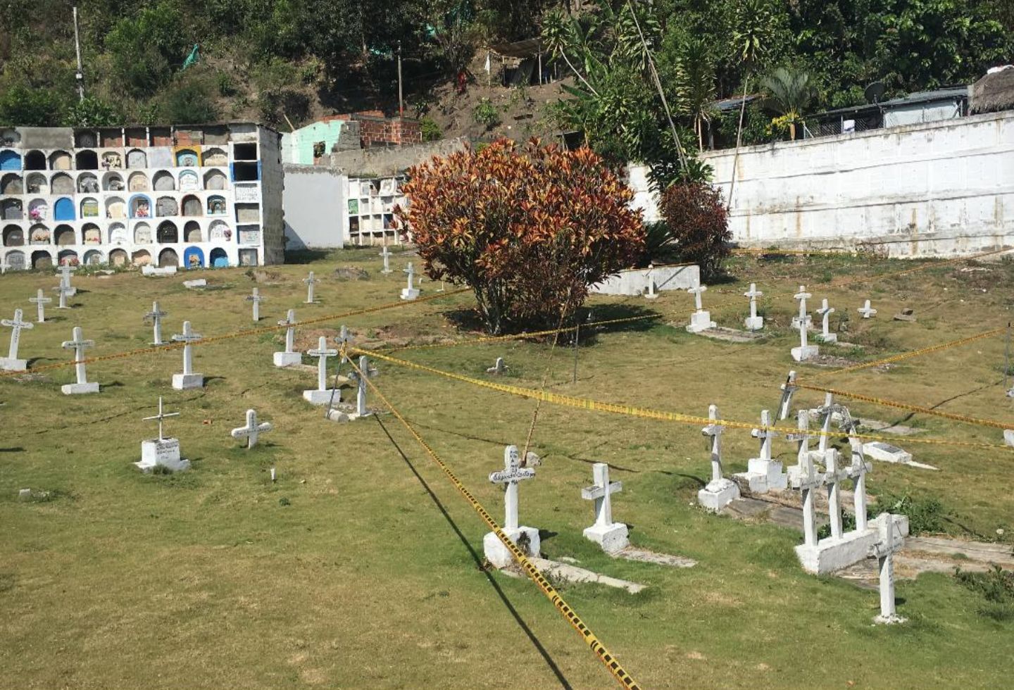 Los mismos colaboradores han confesado que 