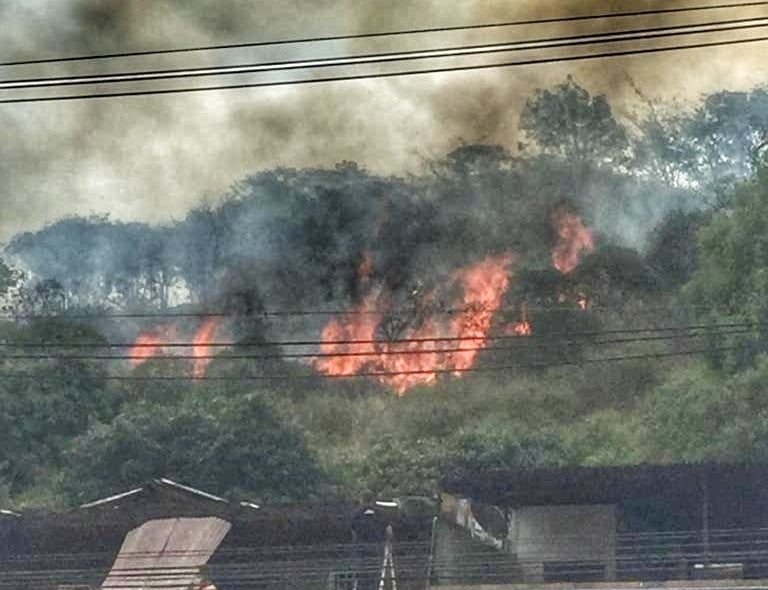 Incendio en el cerro El Volador de Medellín