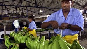 Augura destacó el estricto protocolo de bioseguridad y calificó a los trabajadores como “héroes”.