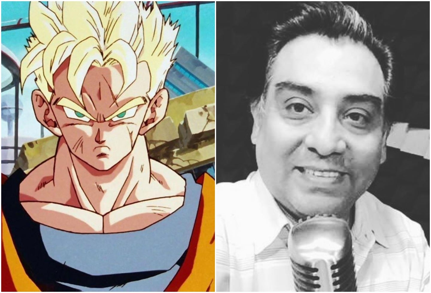 Murio el actor que le daba la voz a Gohan