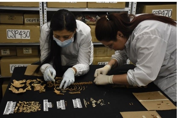 Archivo del Laboratorio de Osteología de la Universidad de Antioquia.