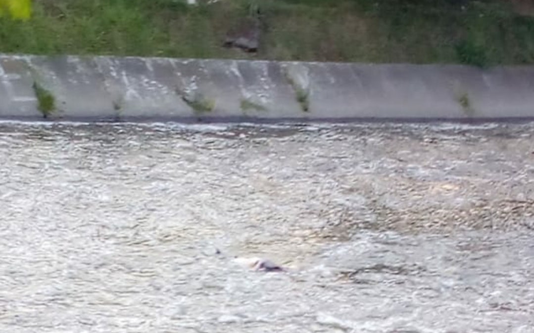 Rescatan del río Medellín, el cadáver de una mujer