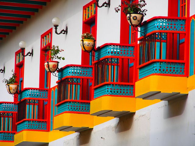 Con plantas en la puerta de la casa, la Iglesia en Medellín invitó a las familias a unirse al Domingo de Ramos