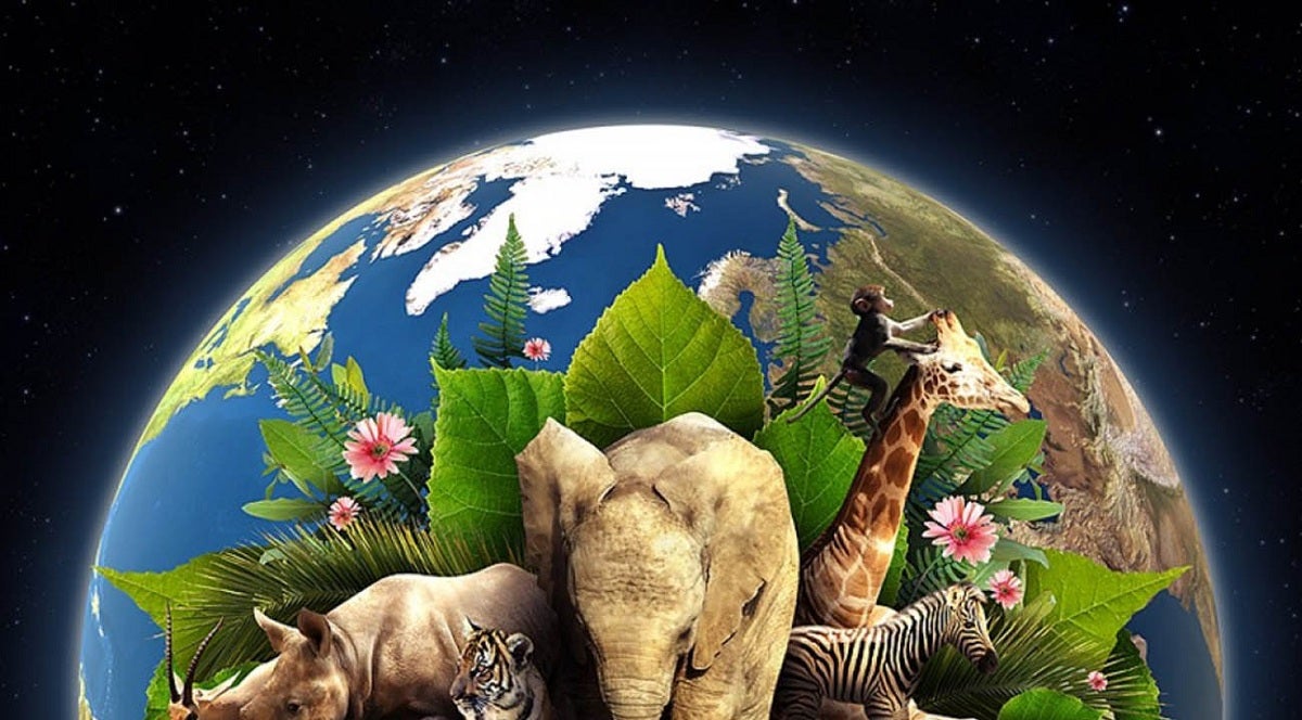 El conservatorio comenzará a partir de la tarde por Facebook Live.