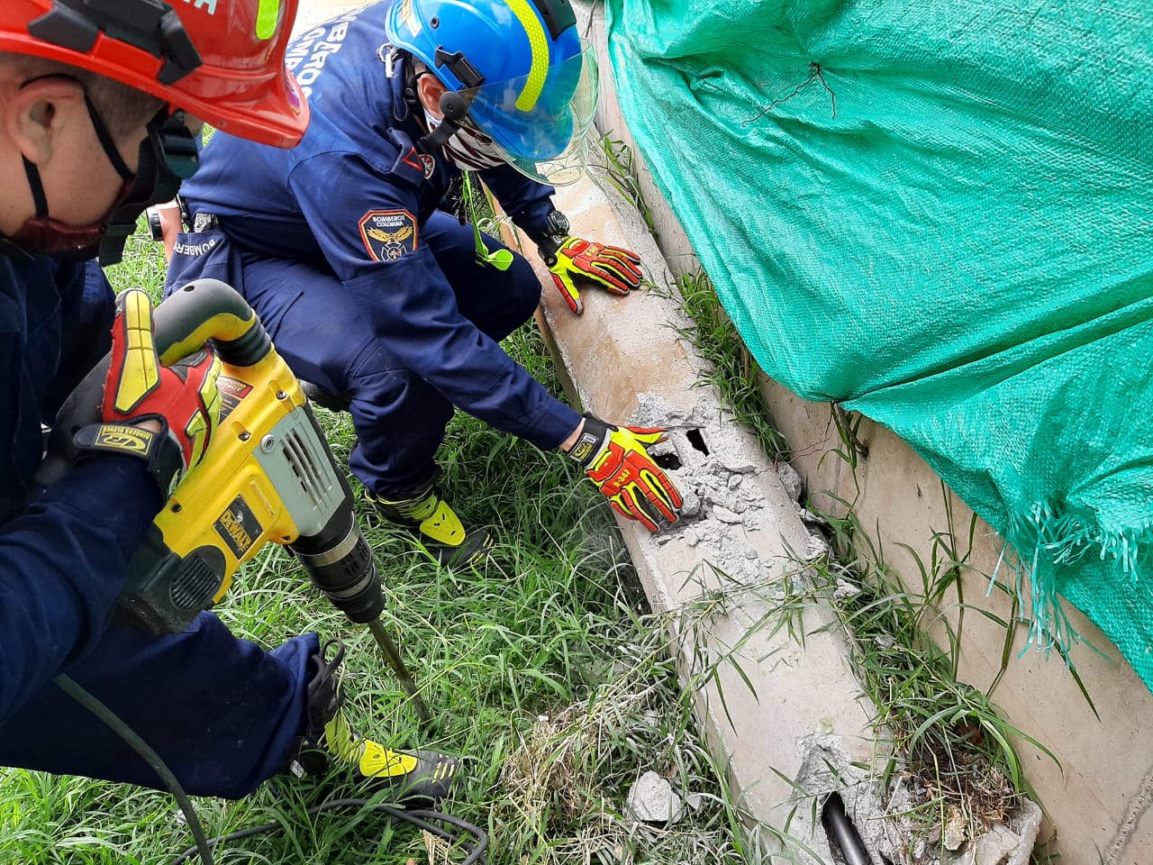 En un acto de amor, bomberos de Sabaneta rescatan a dos crías de gatos