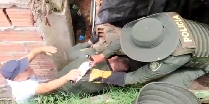 En medio de la cuarentena, la Policía rescató a perrita y sus 4 crías atrapadas en una vivienda en Rionegro, Antioquia