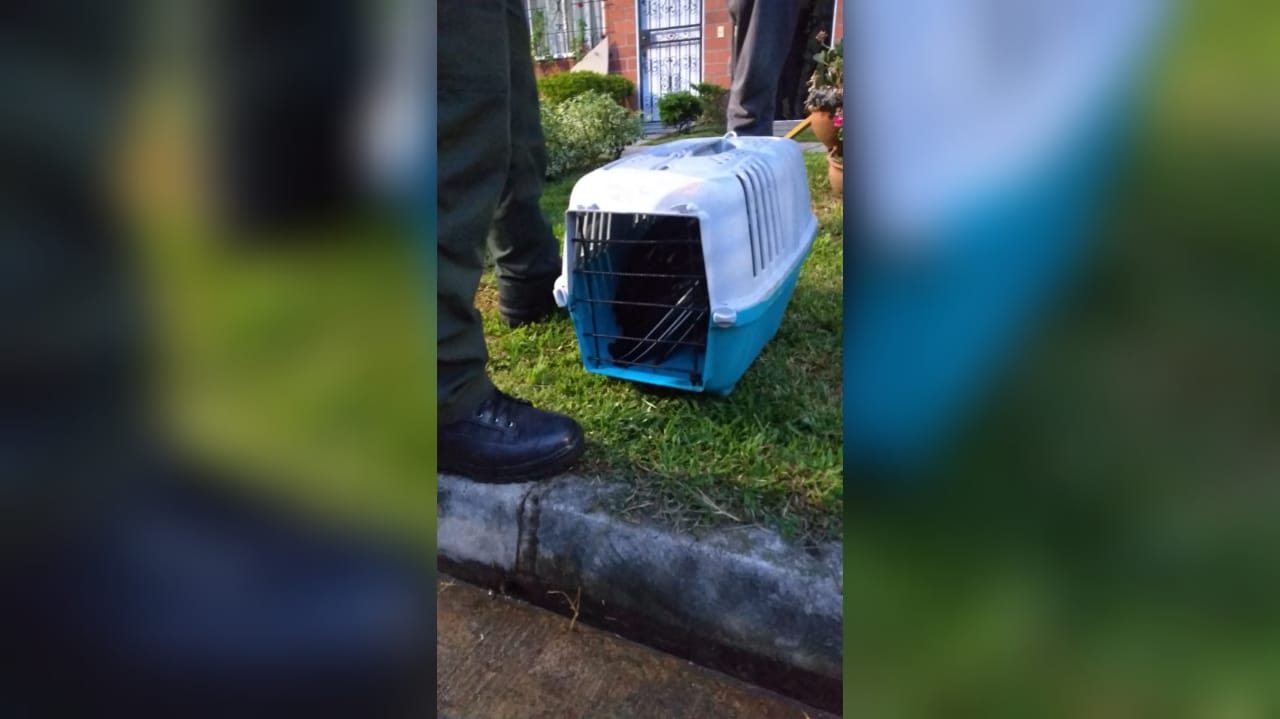 Las autoridades realizarán comparendos a los culpables.