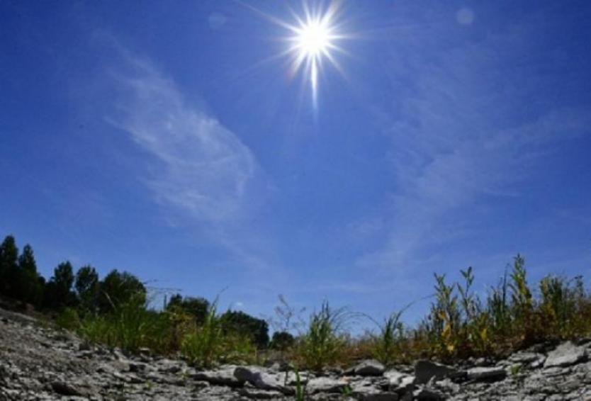 Hace cuatro meses se declaró la calamidad pública por la sequía, aún esperan las ayudas del Gobierno Nacional.