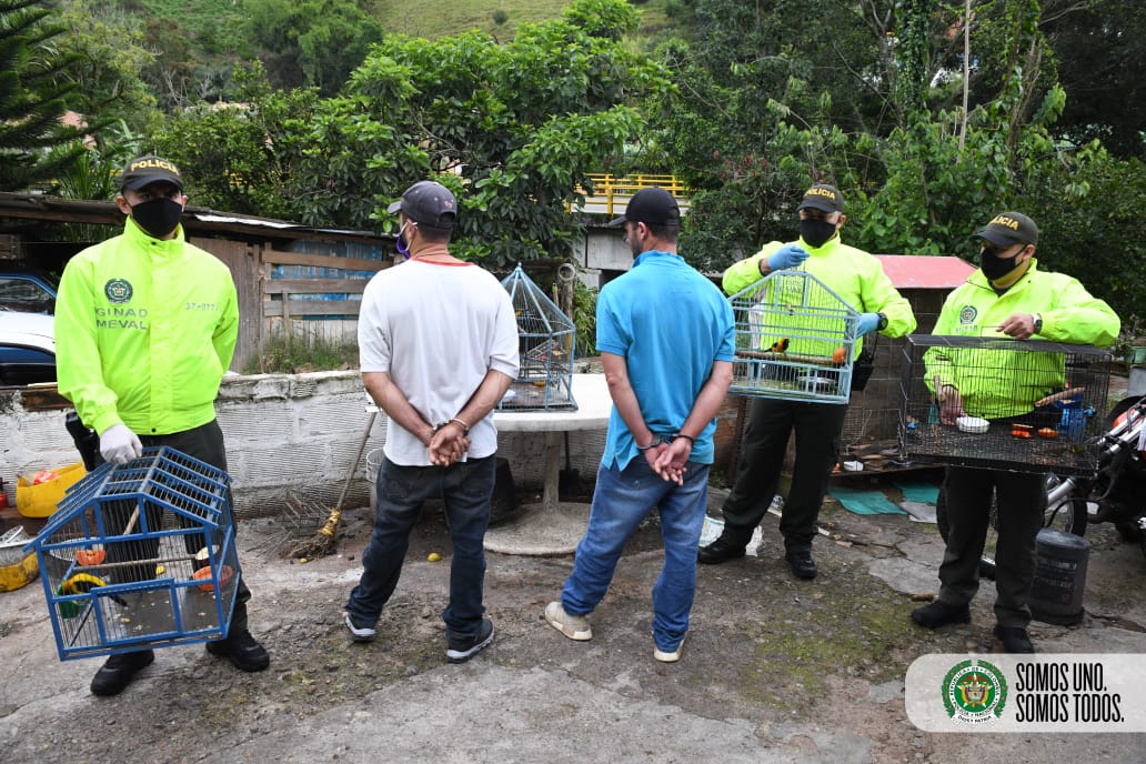 Capturan a dos presuntos traficantes de animales en Envigado