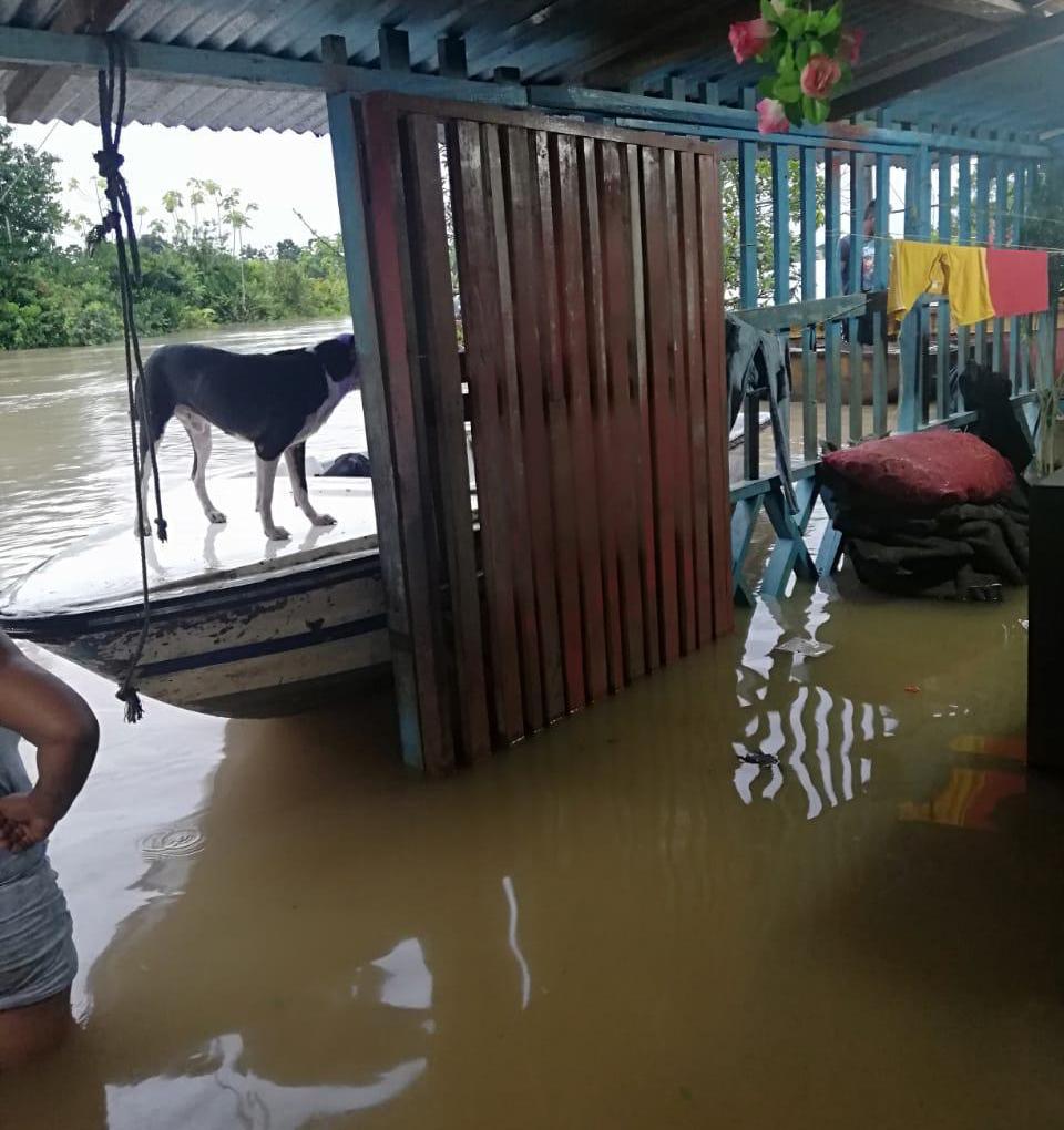 El agua ingresó a las viviendas ocasionando graves daños.