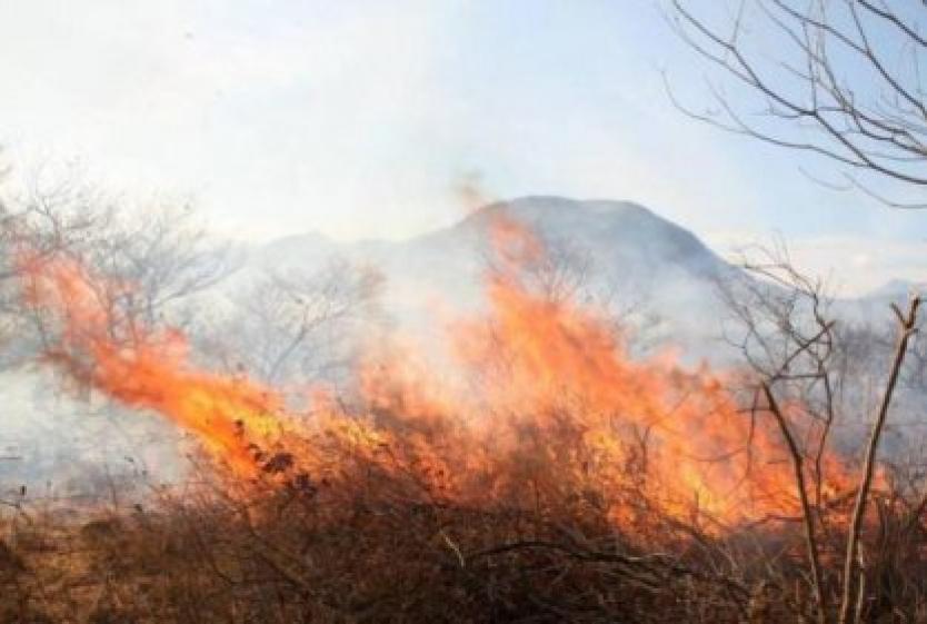 Doce de cobertura vegetal y tres estructurales, señaló la Gobernación.