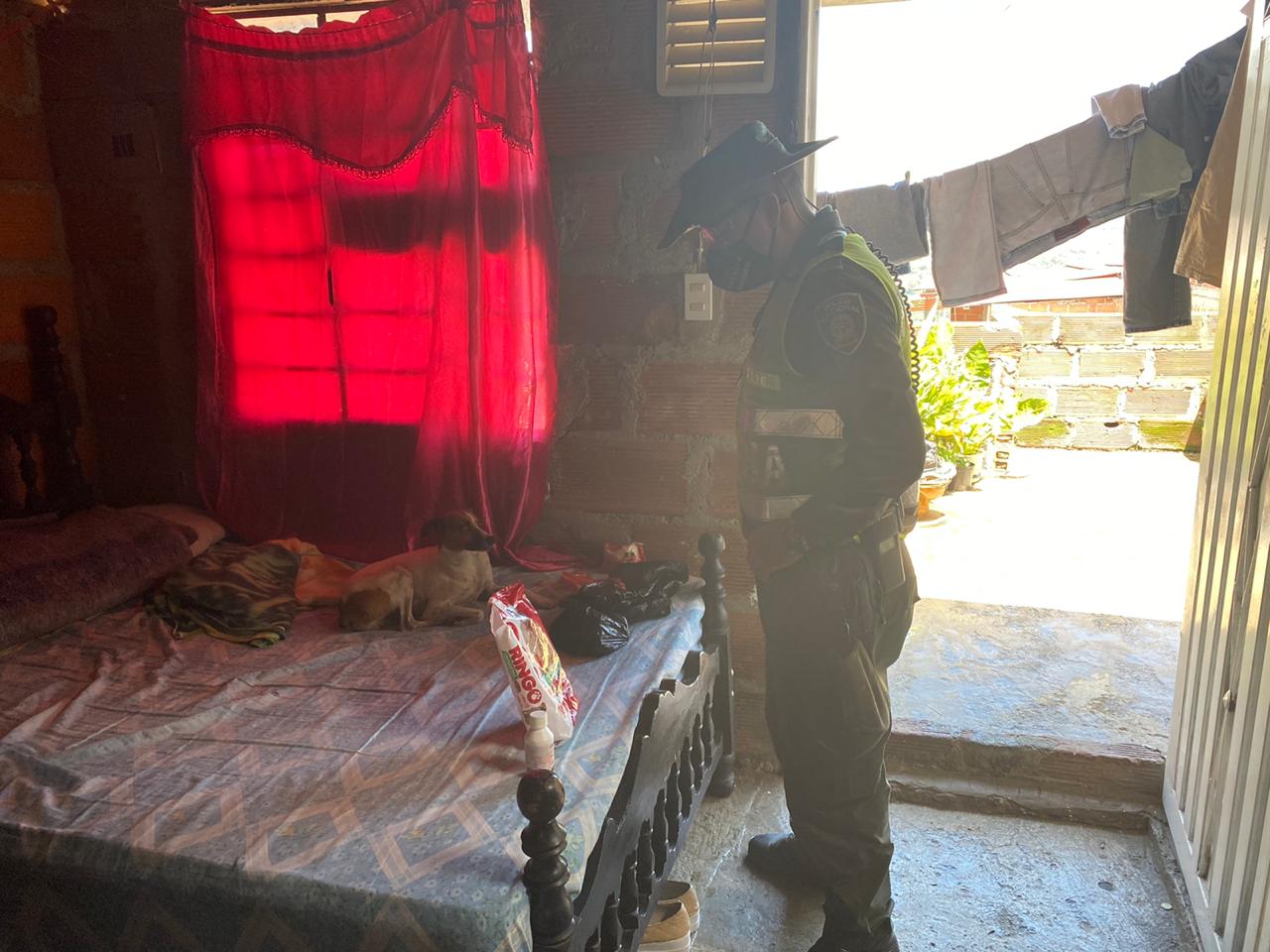 Las mascotas fueron socorridas por las autoridades ambientales.