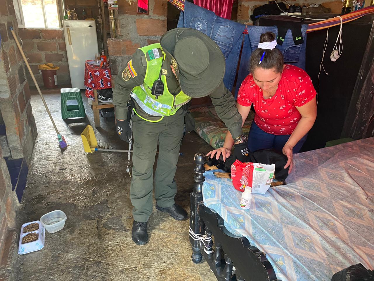 Las mascotas fueron socorridas por las autoridades ambientales.