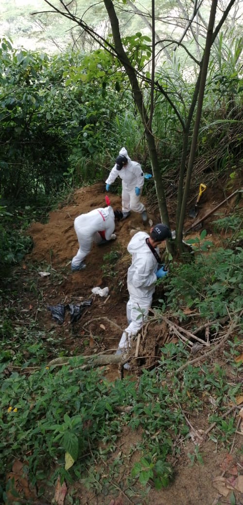 Referencia de homicidio