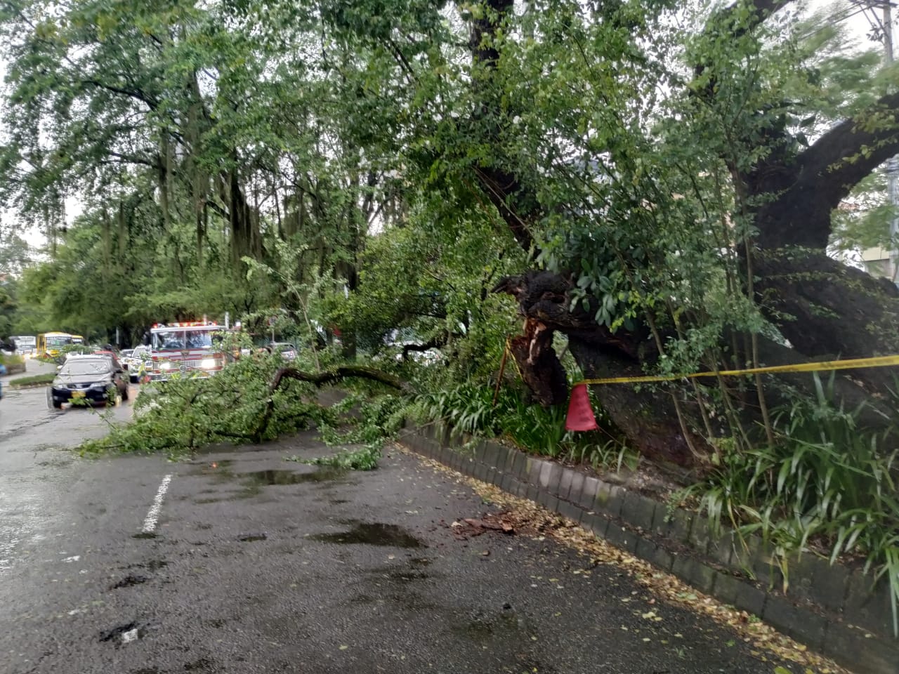 Av. el Poblado frente al Euro de la frontera