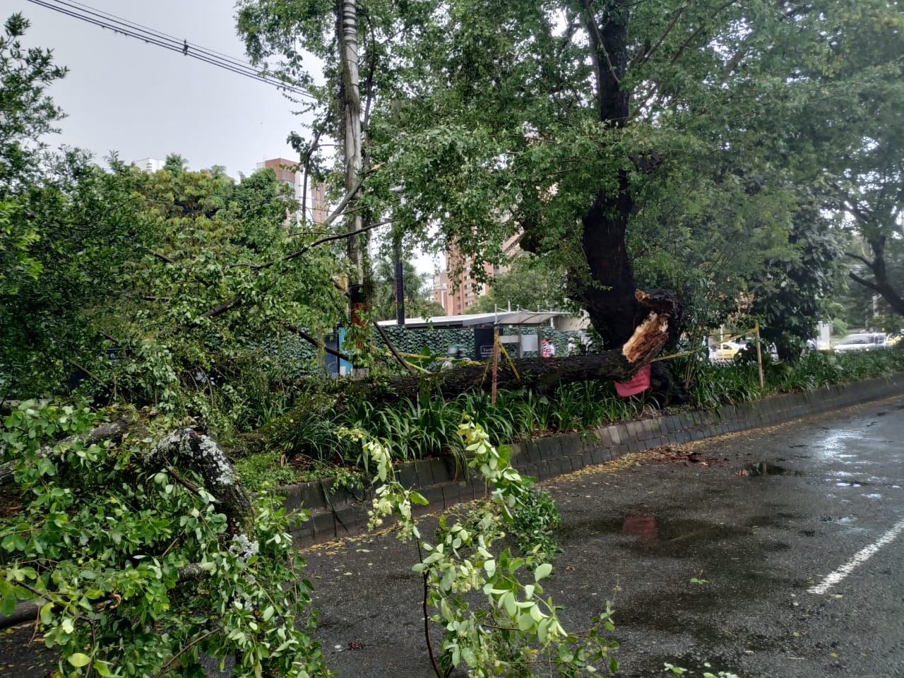 Av. el Poblado frente al Euro de la frontera
