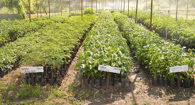 La iniciativa beneficiará el ecosistema y generará ingresos a las comunidades.