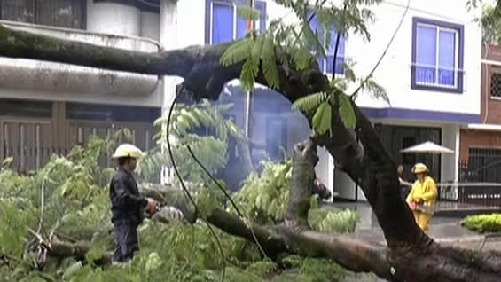 Las misas se celebran con normalidad.