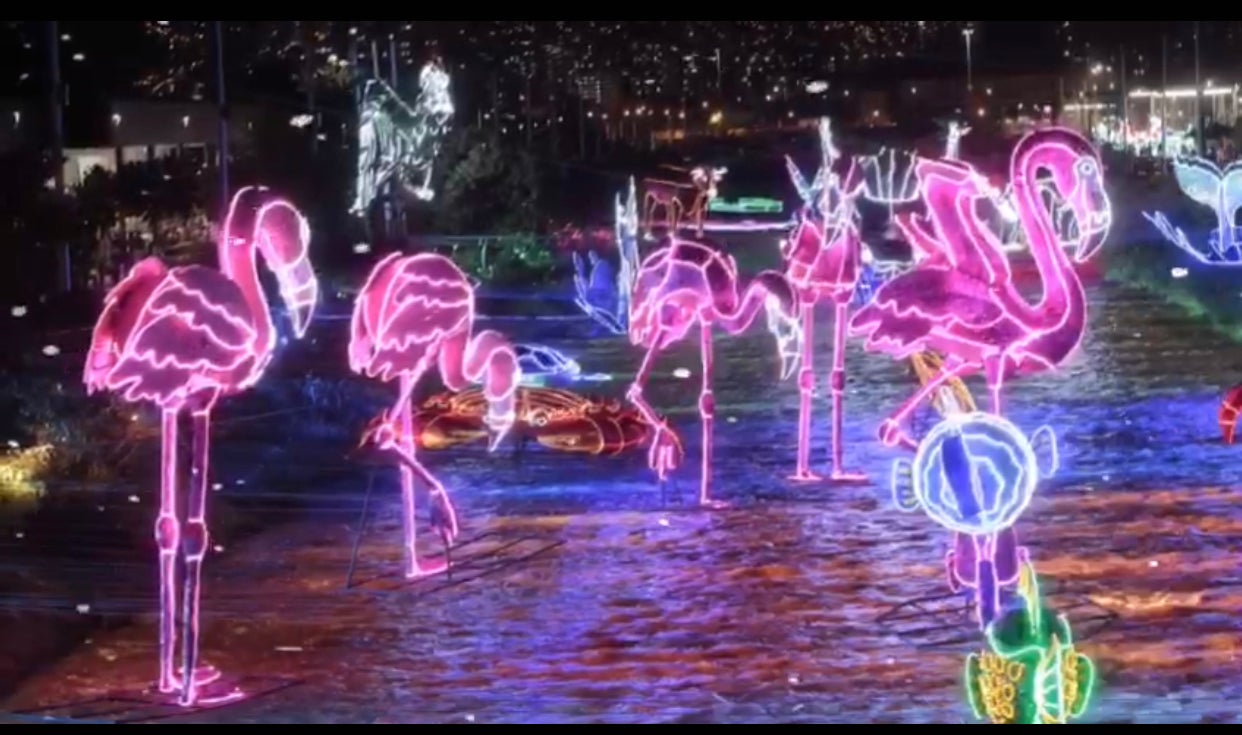 Alumbrados Medellín