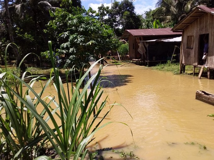 Los cultivos agrícolas, que son el sustento de muchas familias, quedaron bajo el agua.