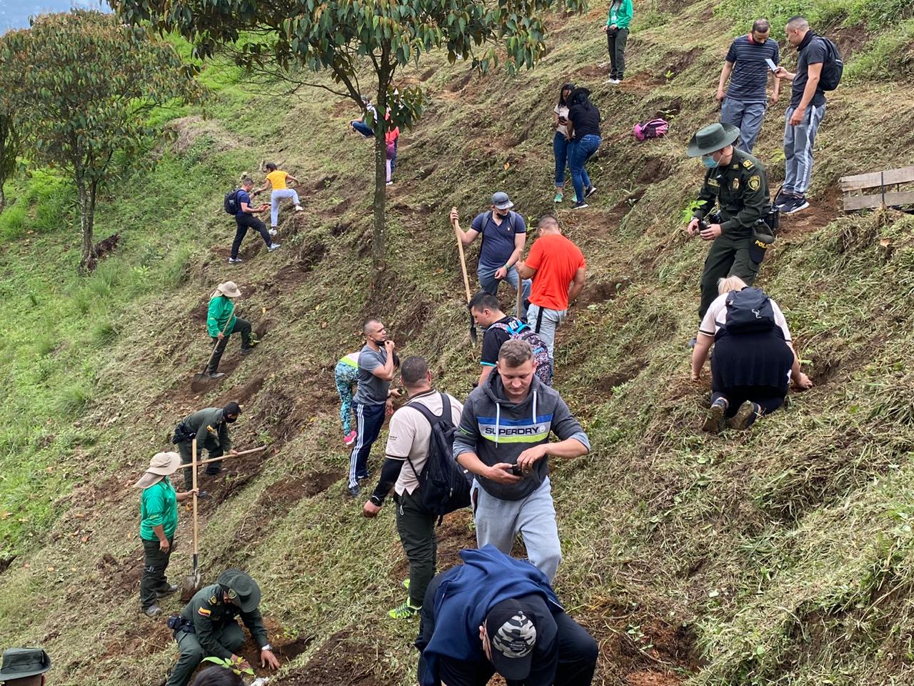 Sembraron 60 árboles en el cerro de las Tres Cruces de Medellín