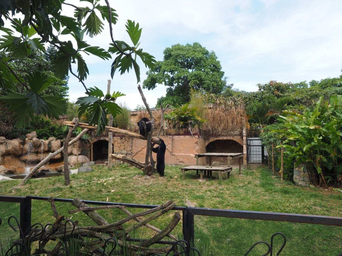 Referencia Parque de la Conservación de Medellín.