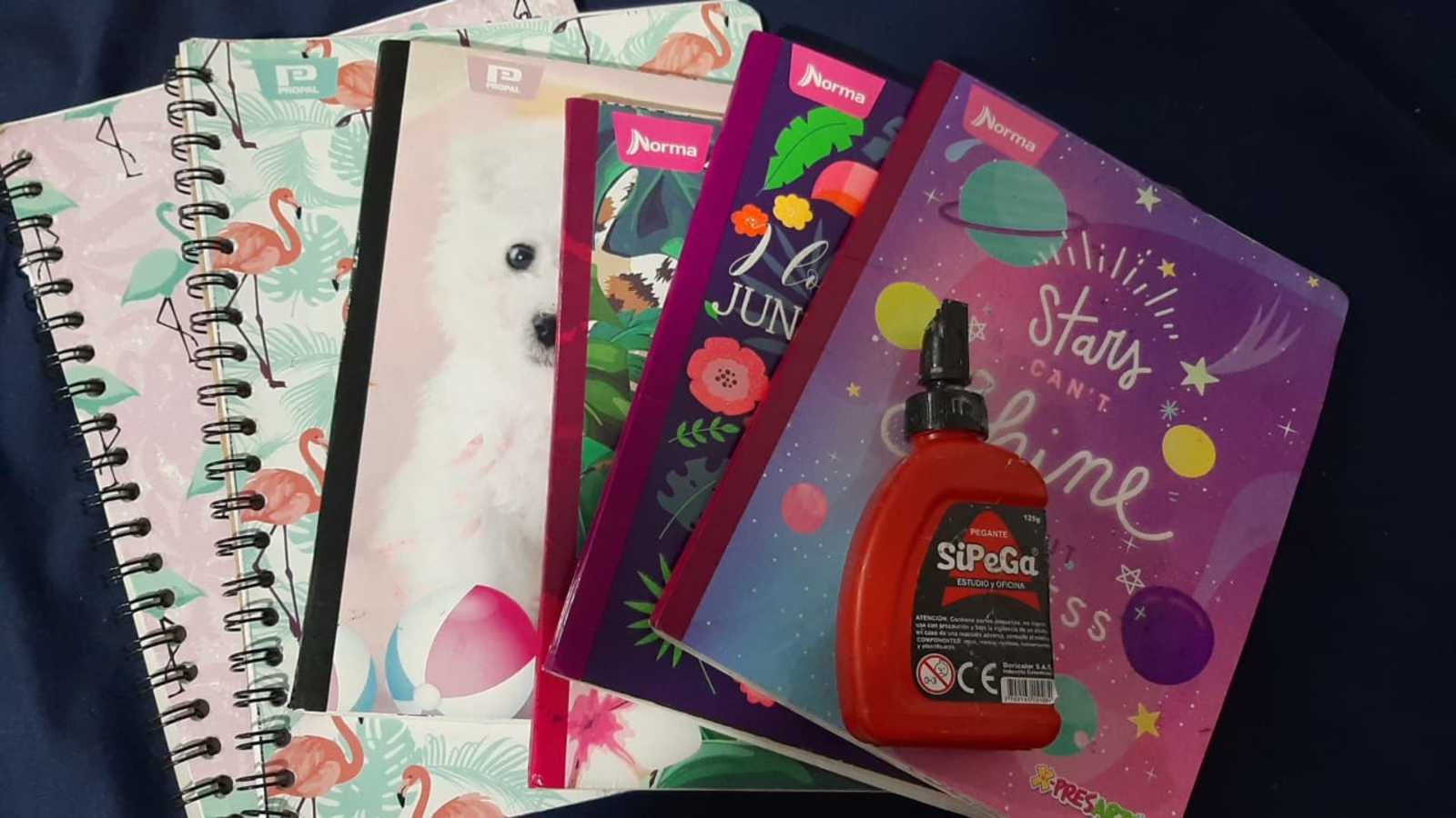 Referencia útiles escolares.