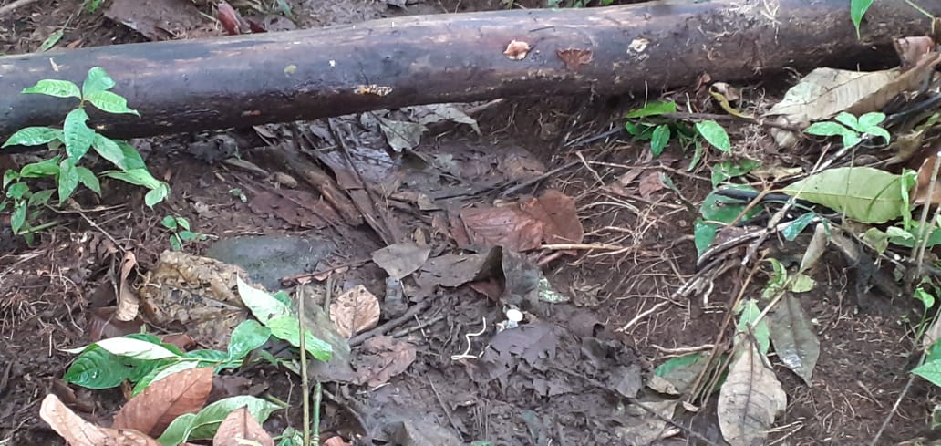 Según la OIA, las minas antipersonal fueron sembradas en los alrededores de las escuelas.