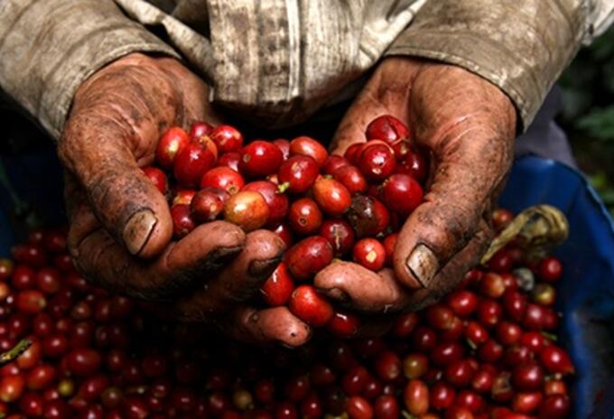 En Yarumal, en el norte del departamento, investigan el homicidio de un adulto mayor.