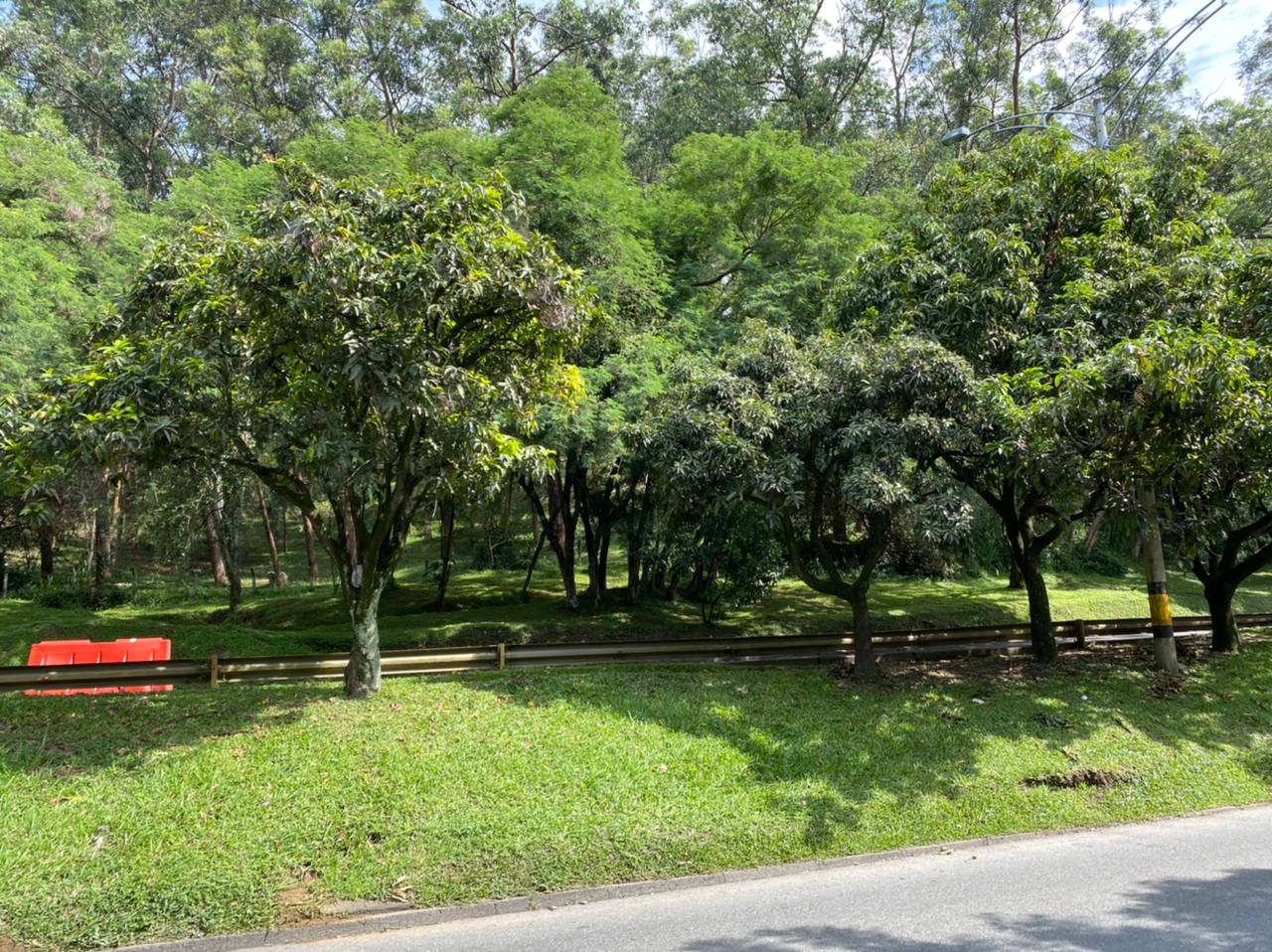 La víctima fue hallada por policías que hacían labores de patrullaje en ese lugar.