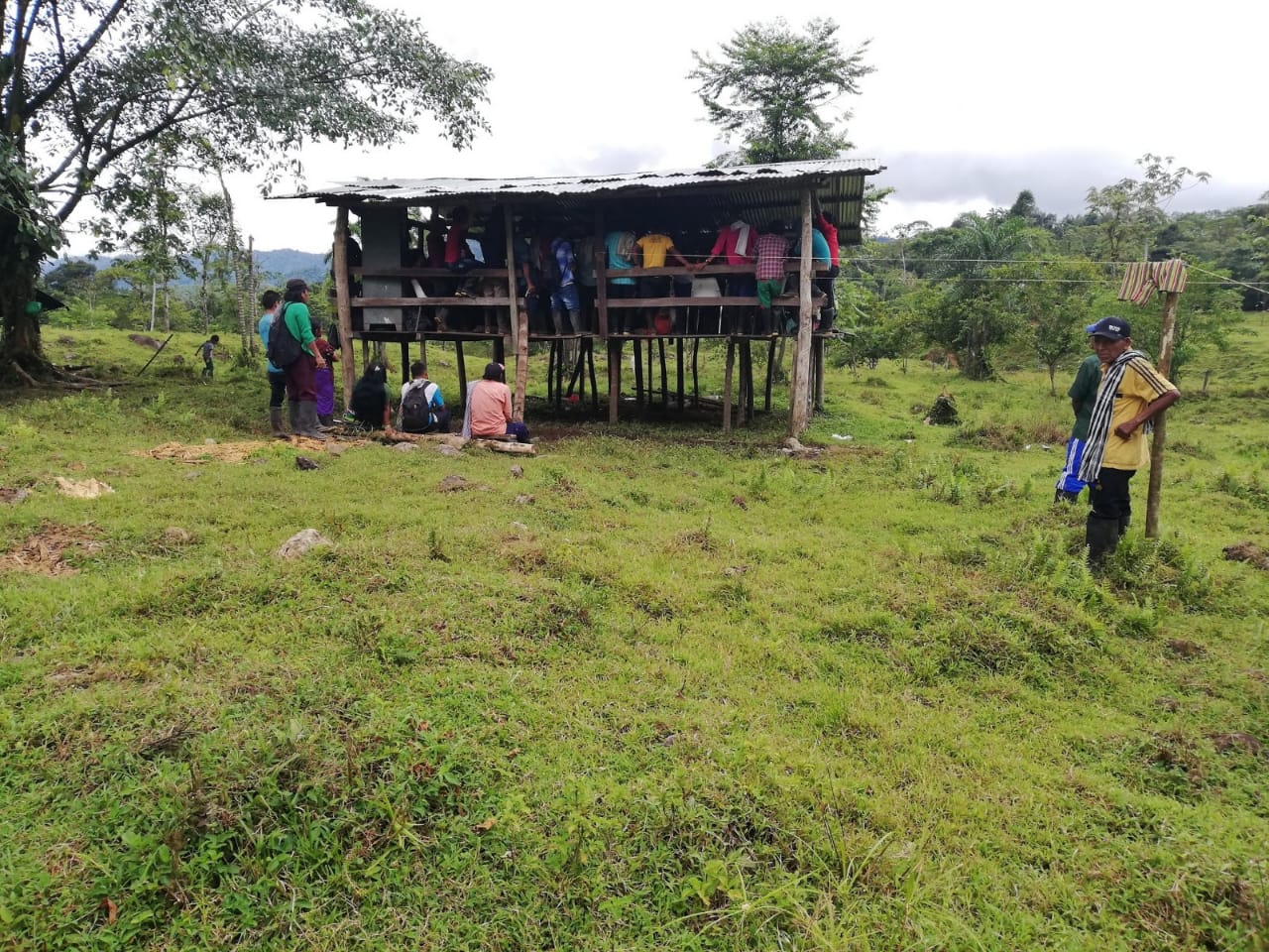 Según la OIA, el ELN estaría resembrando las minas antipersonal en Murindó, Antioquia.