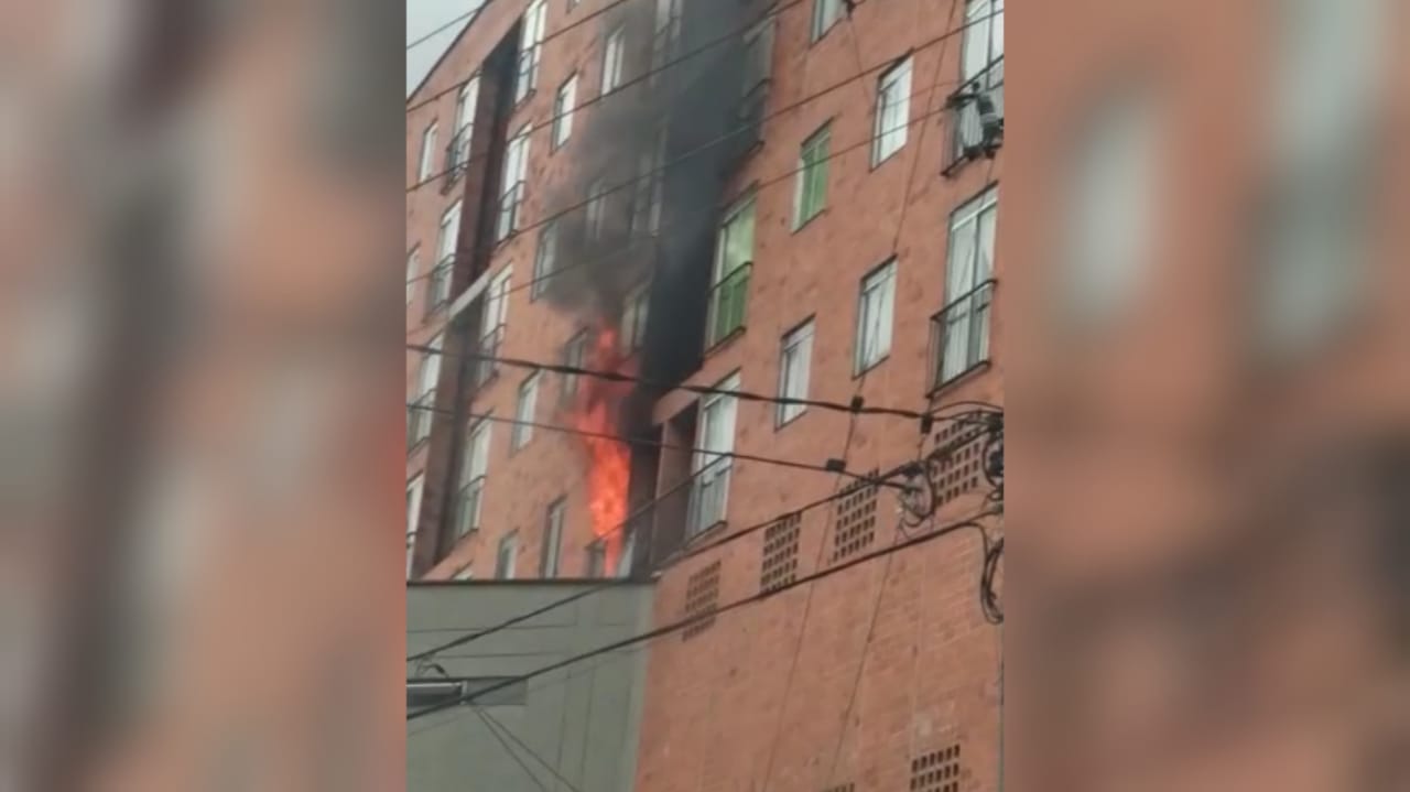 En este incidente fueron rescatados seis gatos y dos perros