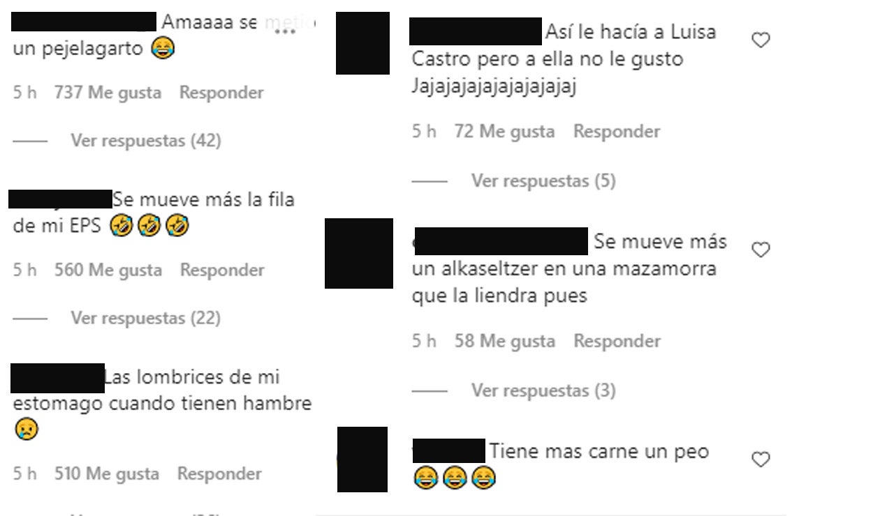 Críticas La Liendra