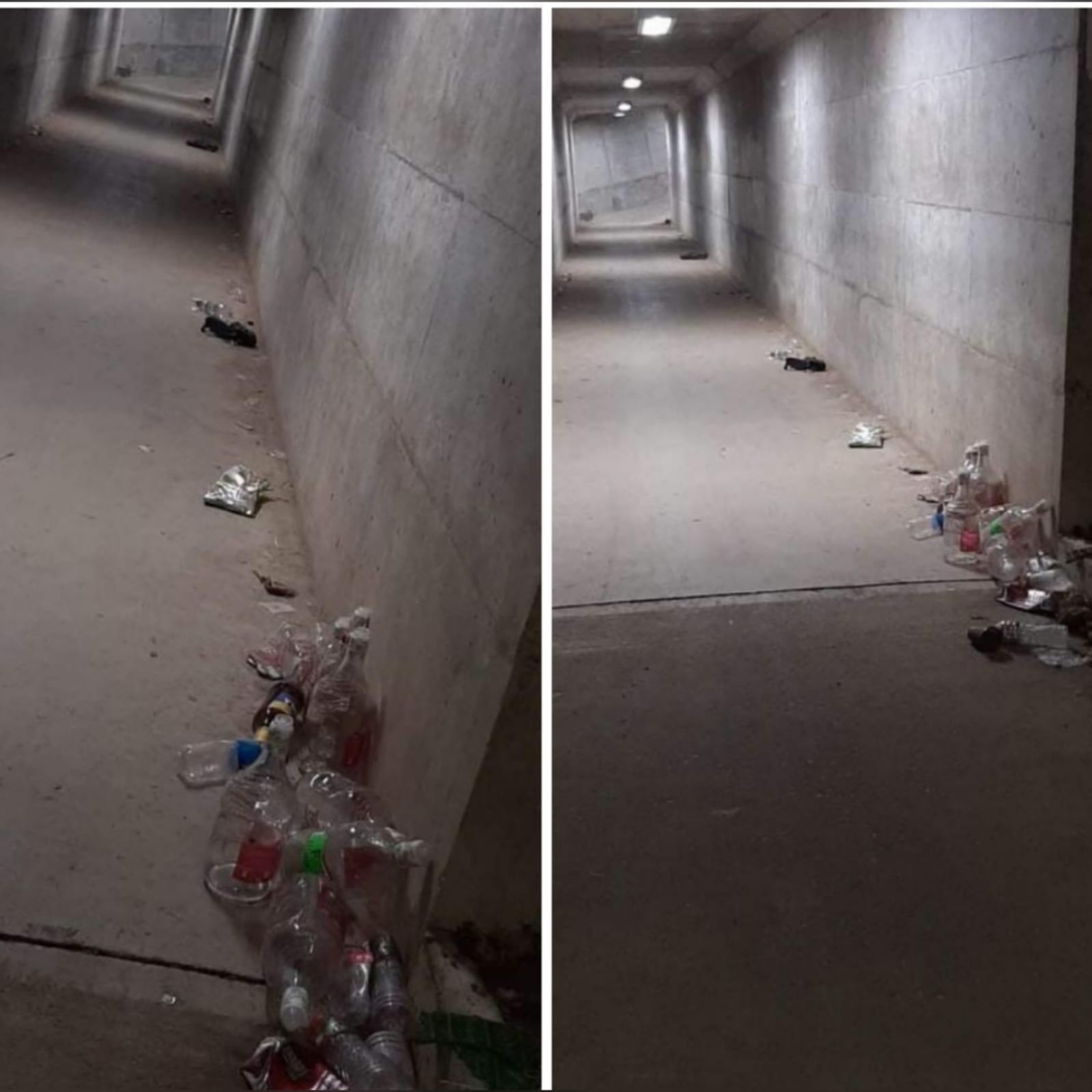 En un basurero terminó la rumba de jóvenes