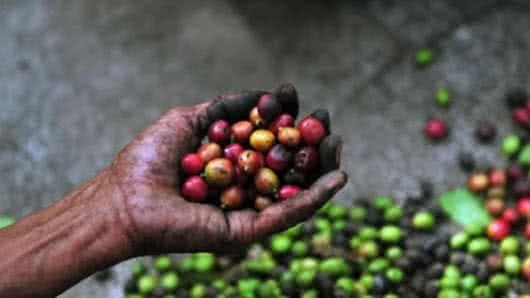 La mayoría de las carreteras están afectadas por derrumbes.