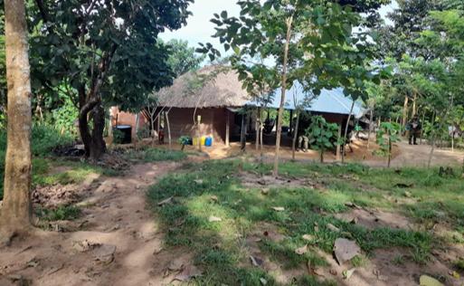 Vivienda alias otoniel