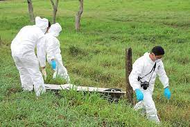 El cuerpo de esta persona habría sido arrojado en ese lugar desde hace varios días.