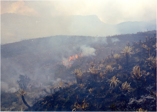 Destinarán $300 millones para emergencias que se esperan por el fenómeno del Niño