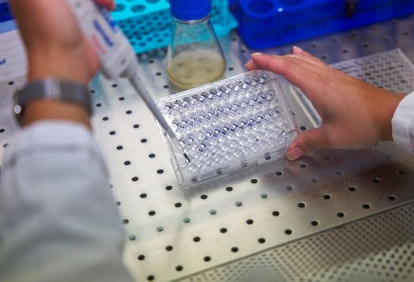 Los primeros lotes de dosis estarán listos en junio.