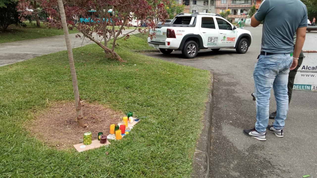Virgen se le apareció a un policía en tronco de árbol en San Javier