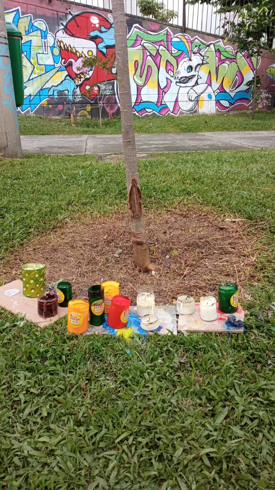 Virgen se le apareció a un policía en tronco de árbol en San Javier