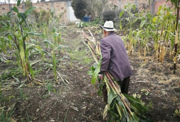 Habría matado a su jefe porque lo despidió de su trabajo en Betania, Antioquia