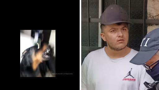[Video] Este hombre cogió a palazos al perro de su novia en Medellín