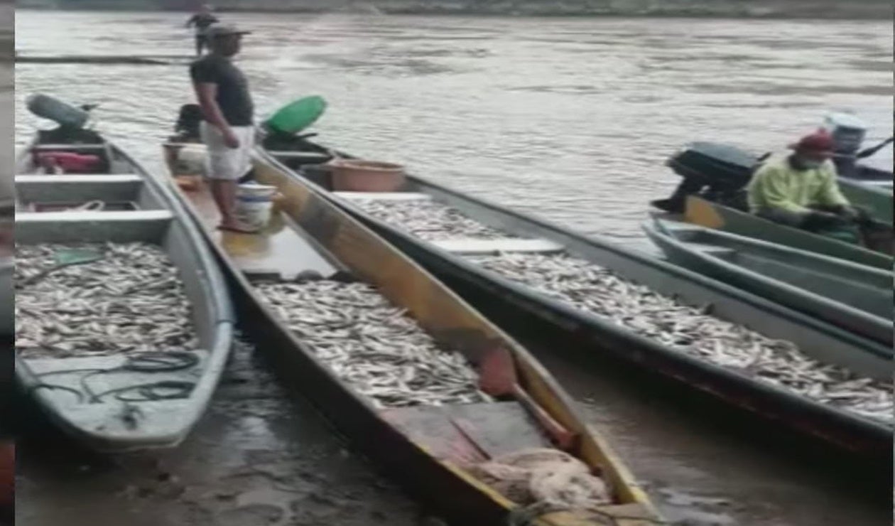 Alcalde de Barrancabermeja le pide al Gobierno que indague con el ELN si tiene retenidos a los pescadores en una vereda de Yondó